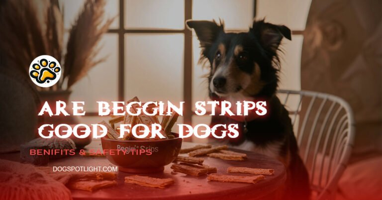 Are Beggin Strips Good for Dogs