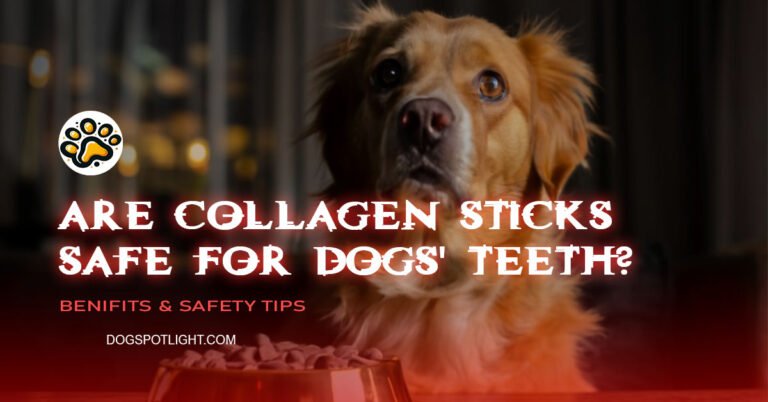 Are collagen sticks safe for dogs' teeth?
