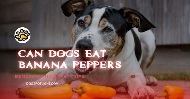 Can Dogs Eat Banana Peppers