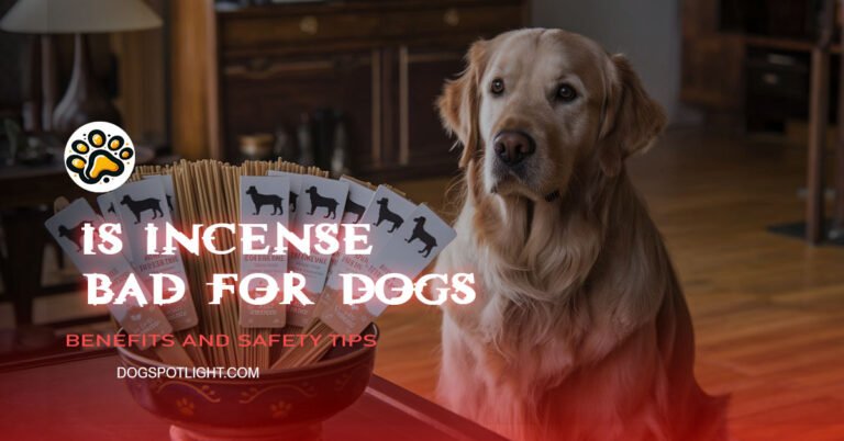 Is incense bad for dogs