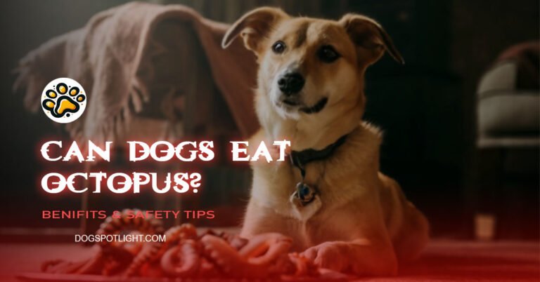 Can dogs eat Octopus