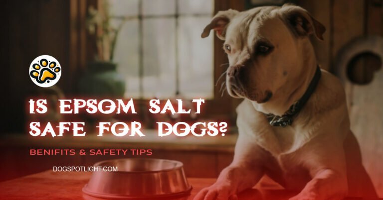 Is Epsom Salt safe for dogs