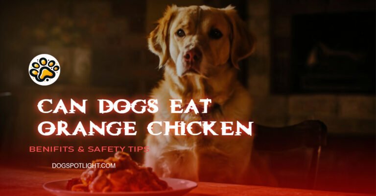 can dogs eat orange chicken