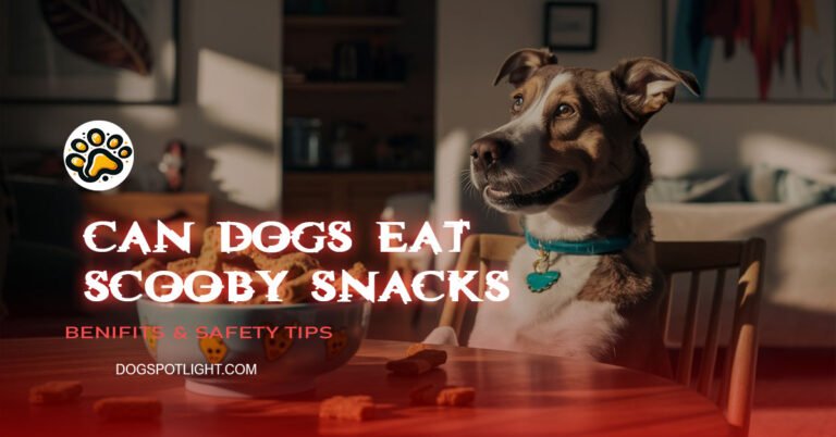 can dogs eat scooby snacks