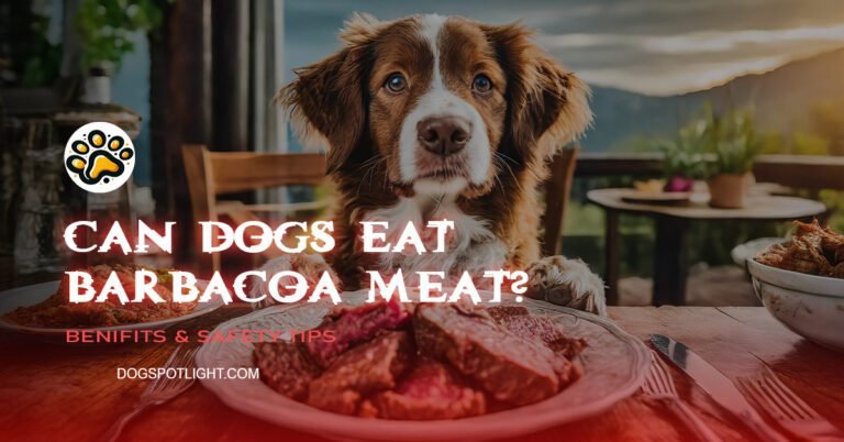 Can Dogs Eat Barbacoa Meat