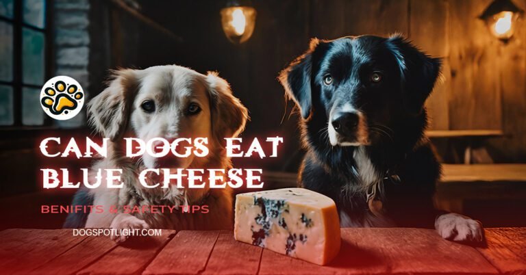 Can dogs eat blue cheese - Is Blue Cheese Safe for Dogs