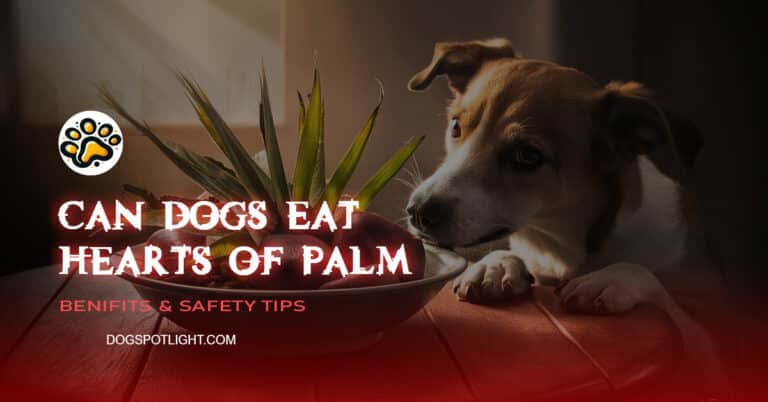 Can Dogs Eat Hearts of Palm f