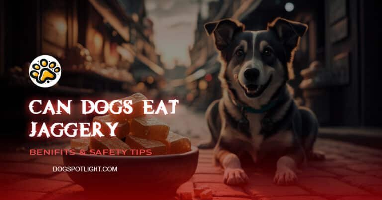 Can Dogs Eat Jaggery f
