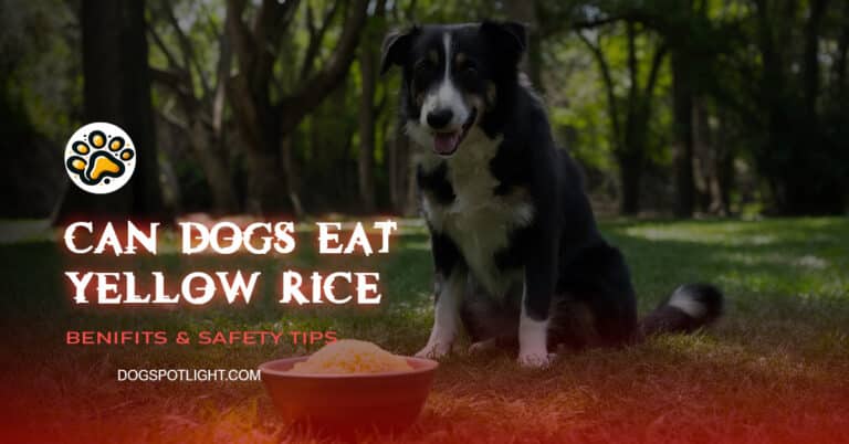Can Dogs Eat Yellow Rice f