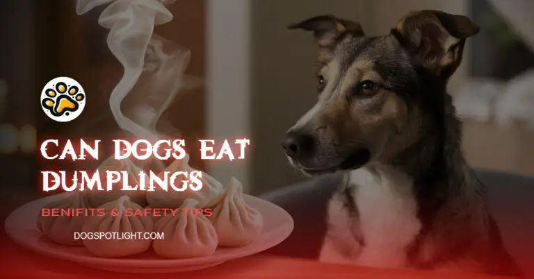 Can Dogs Eat Dumplings f