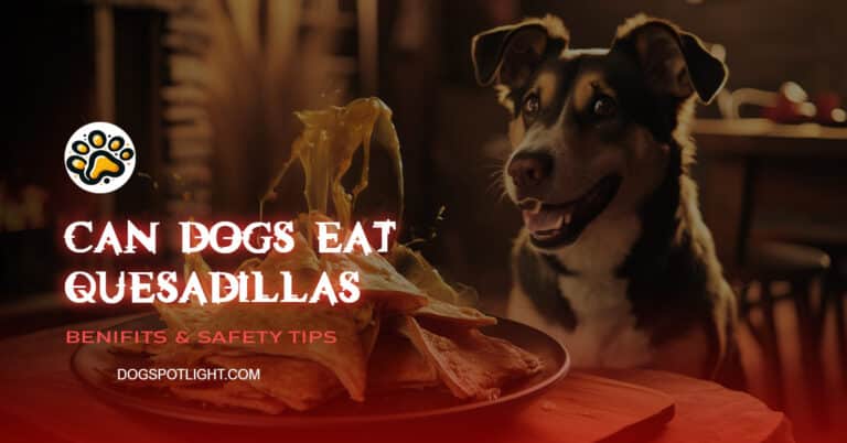Can Dogs Eat Quesadillas f