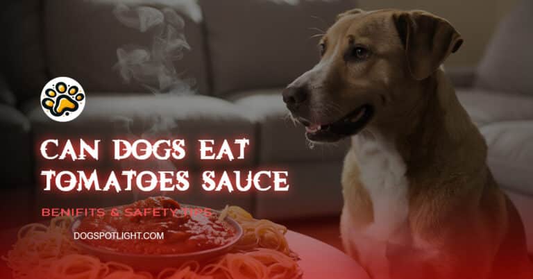 Can Dogs Eat Tomatoes Sauce f