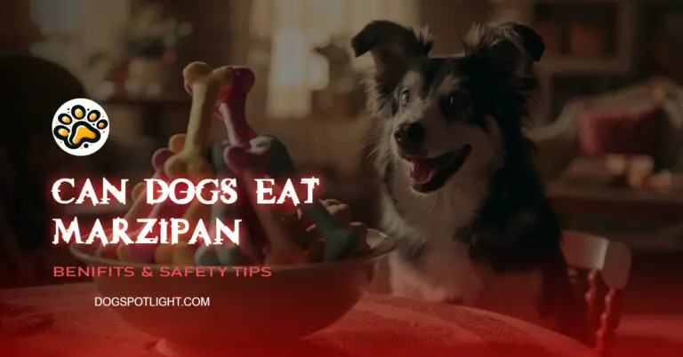 Can dogs eat marzipan