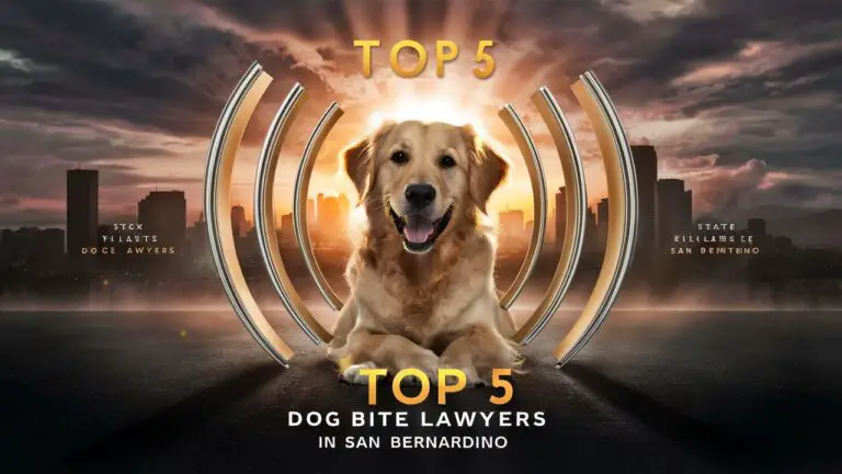 The 5 Best Dog Bite Lawyers in San Bernardino