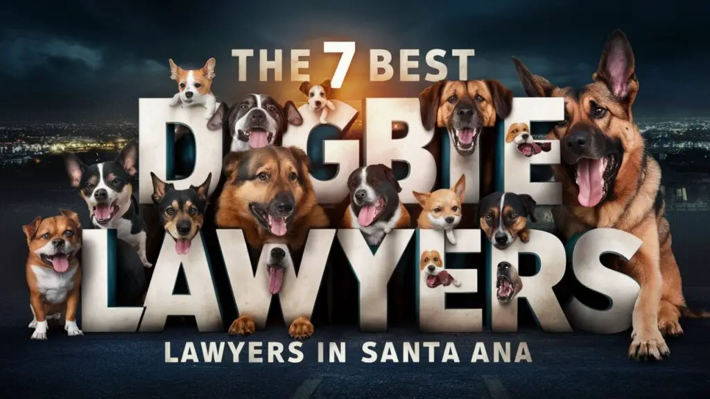 The 7 Best Dog Bite Lawyers in Santa Ana