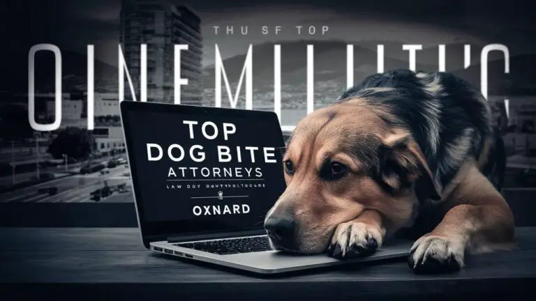 The Best 8 Dog Bite Attorneys In Oxnard