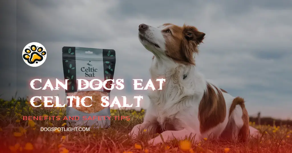 Can Dogs Eat Celtic Salt